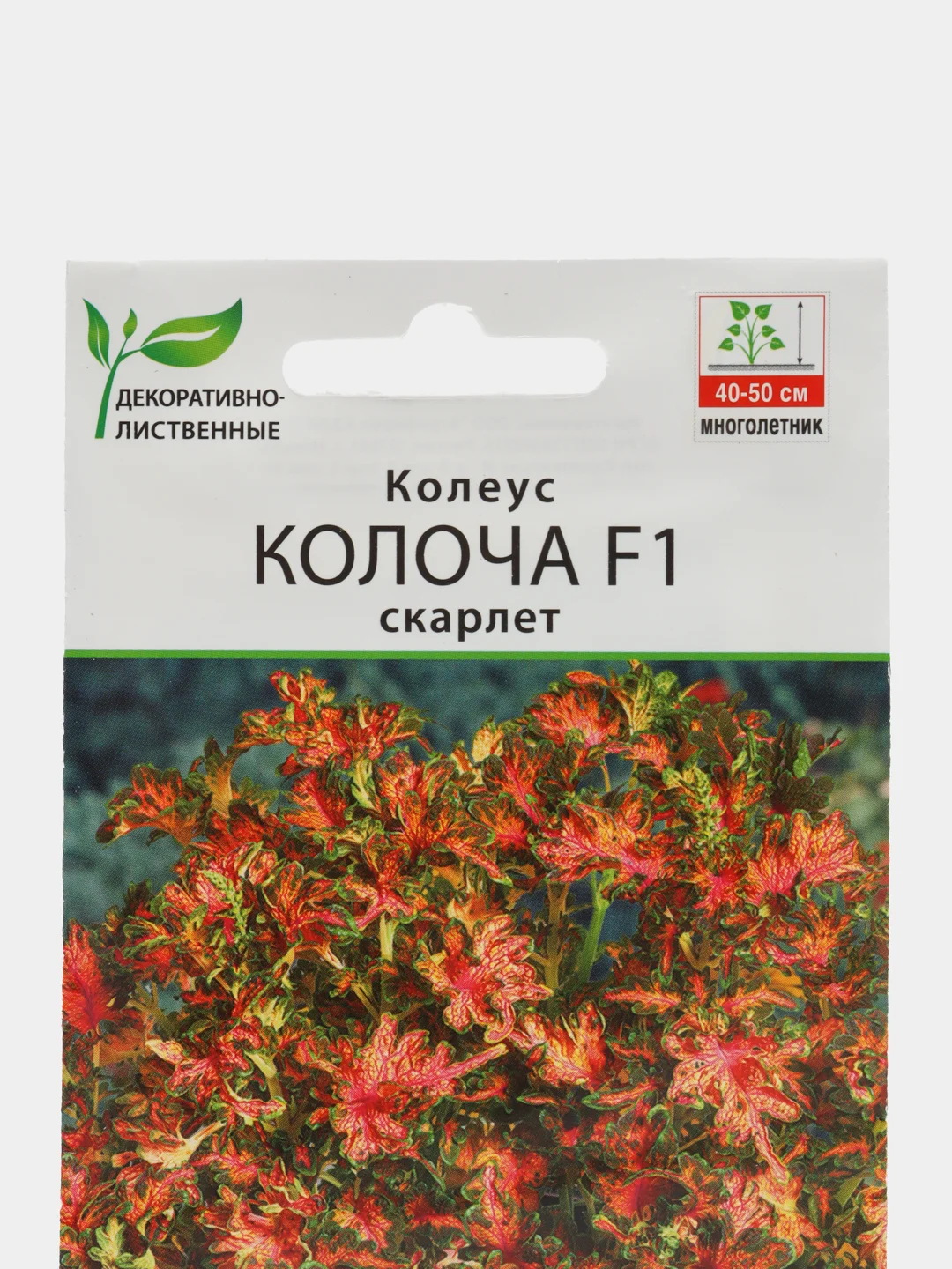 Колеус "Колоча F1" скарлет, семена, цветы