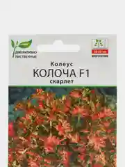 Колеус "Колоча F1" скарлет, семена, цветы