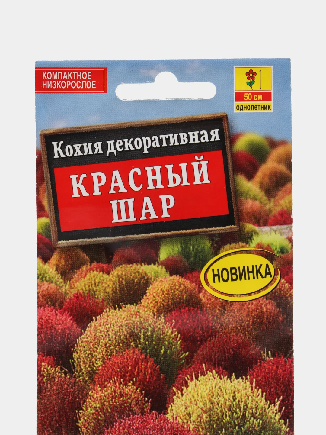 Кохия Красный шар (семена,цветы)