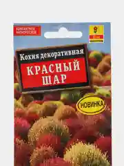 Кохия Красный шар (семена,цветы)
