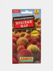 Кохия Красный шар (семена,цветы)
