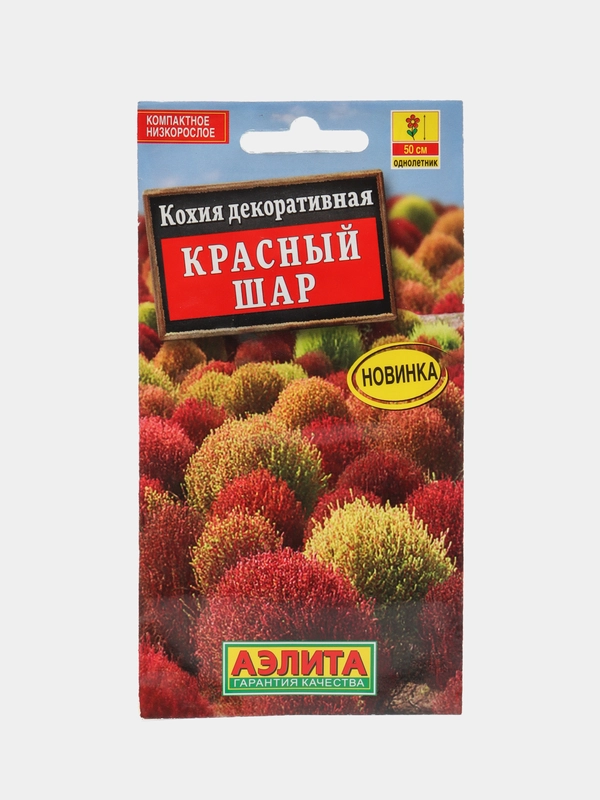 Кохия Красный шар (семена,цветы)