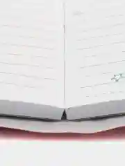 Вишнёвый блокнот  с ручкой, "Авокадо","Мишки","Единороги", "Кактусы, "Куколки""