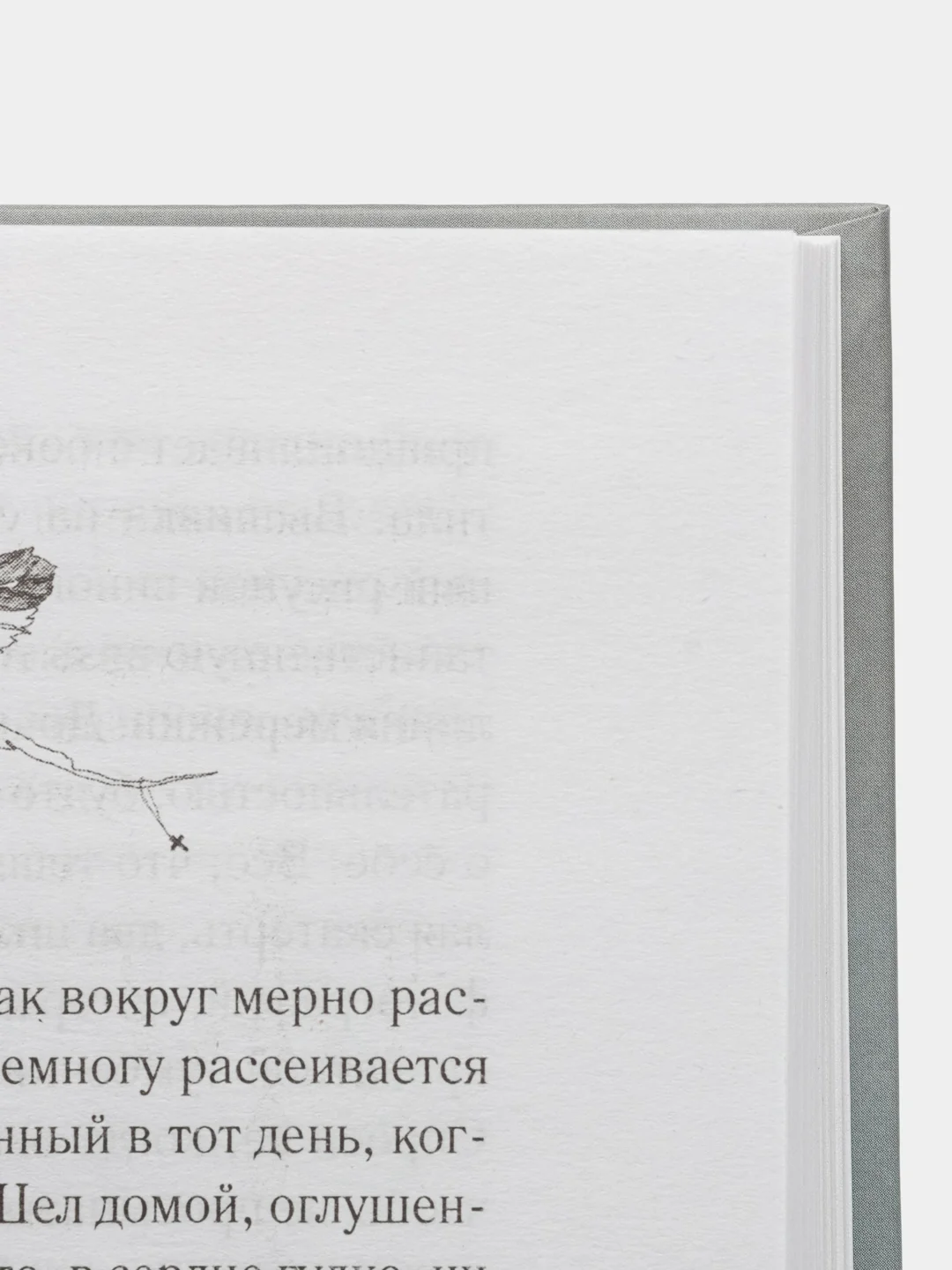 Молчание цвета, Наринэ Абгарян