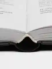 Кто-нибудь видел мою девчонку? 100 писем к Сереже, Добротворская К.А.