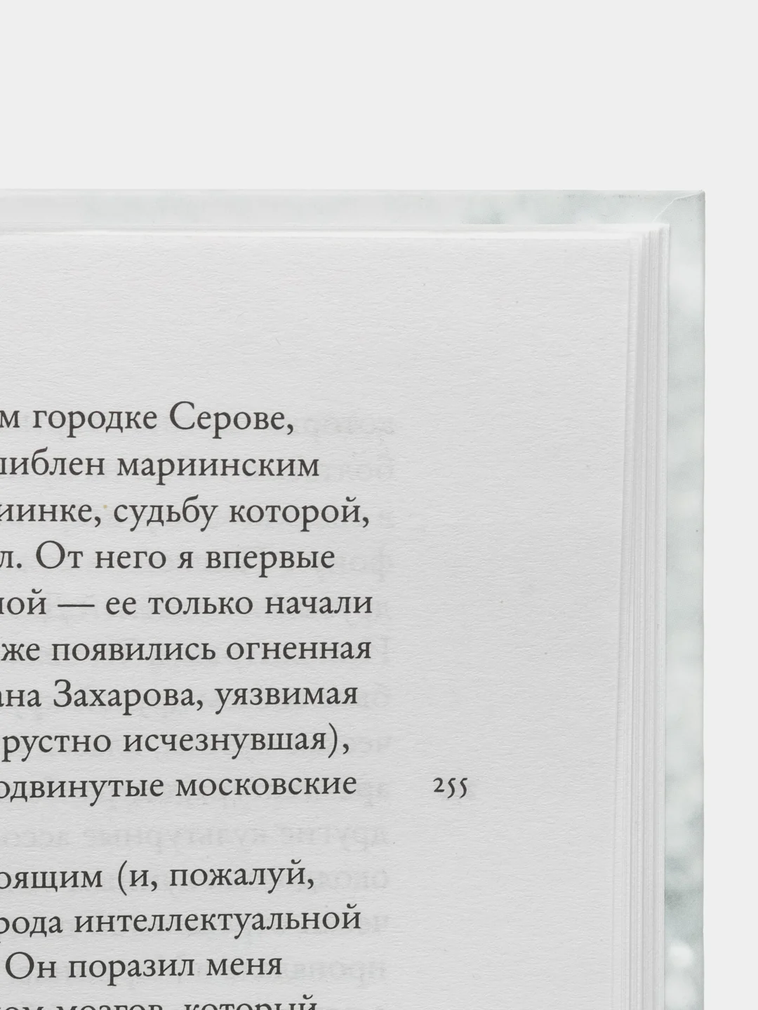 Кто-нибудь видел мою девчонку? 100 писем к Сереже, Добротворская К.А.