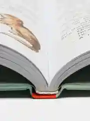 Алиса в стране чудес с иллюстрациями Рене Клок. Мировая классика для детей