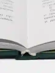 Лучшие сказки Х. К. Андерсена