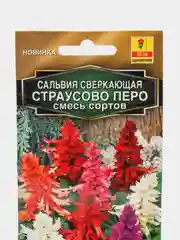 Сальвия "Страусово перо", смесь сортов (семена, цветы)