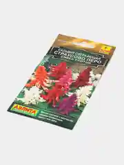 Сальвия "Страусово перо", смесь сортов (семена, цветы)