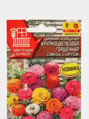 Цинния Крупноцветковая горшечная, смесь сортов (семена,цветы)