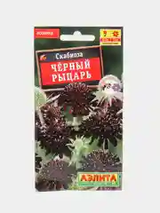Скабиоза "Черный рыцарь", семена цветов