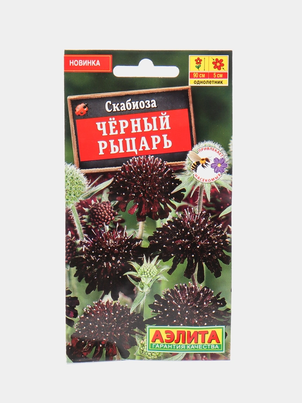 Скабиоза "Черный рыцарь", семена цветов
