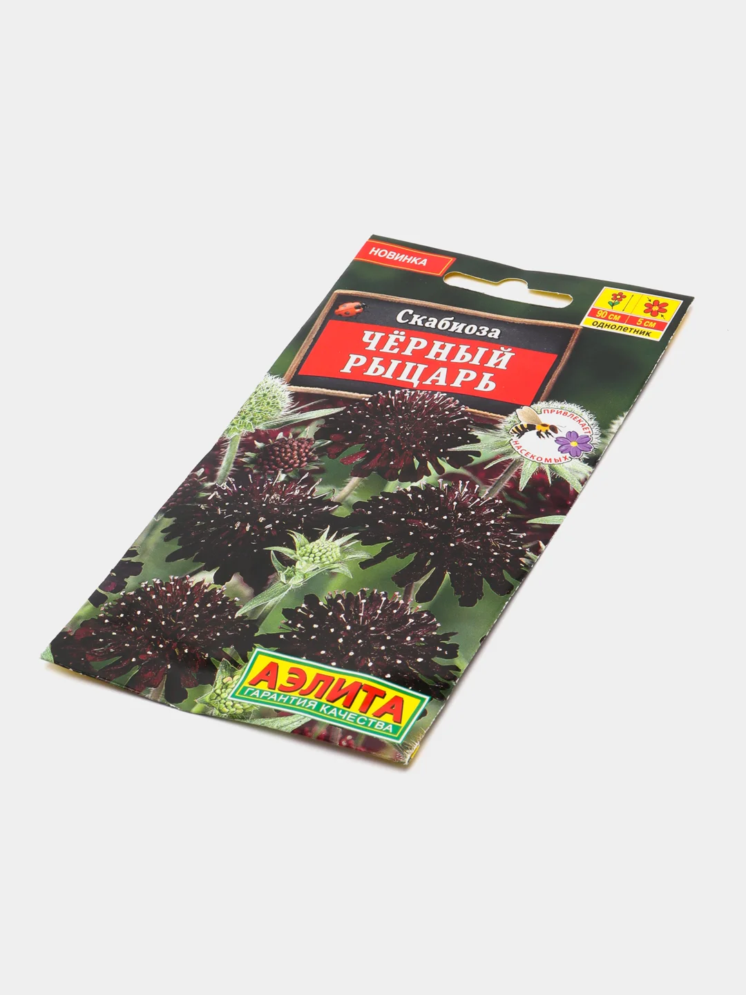 Скабиоза "Черный рыцарь", семена цветов