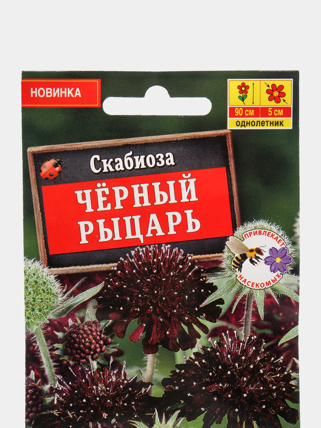 Скабиоза "Черный рыцарь", семена цветов