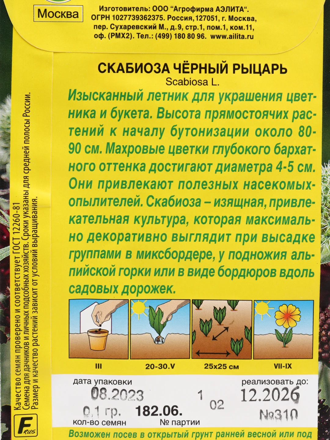 Скабиоза "Черный рыцарь", семена цветов