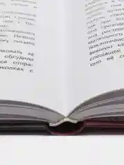 Маленький лорд Фаунтлерой, автор Бёрнетт Фрэнсис Ходжсон