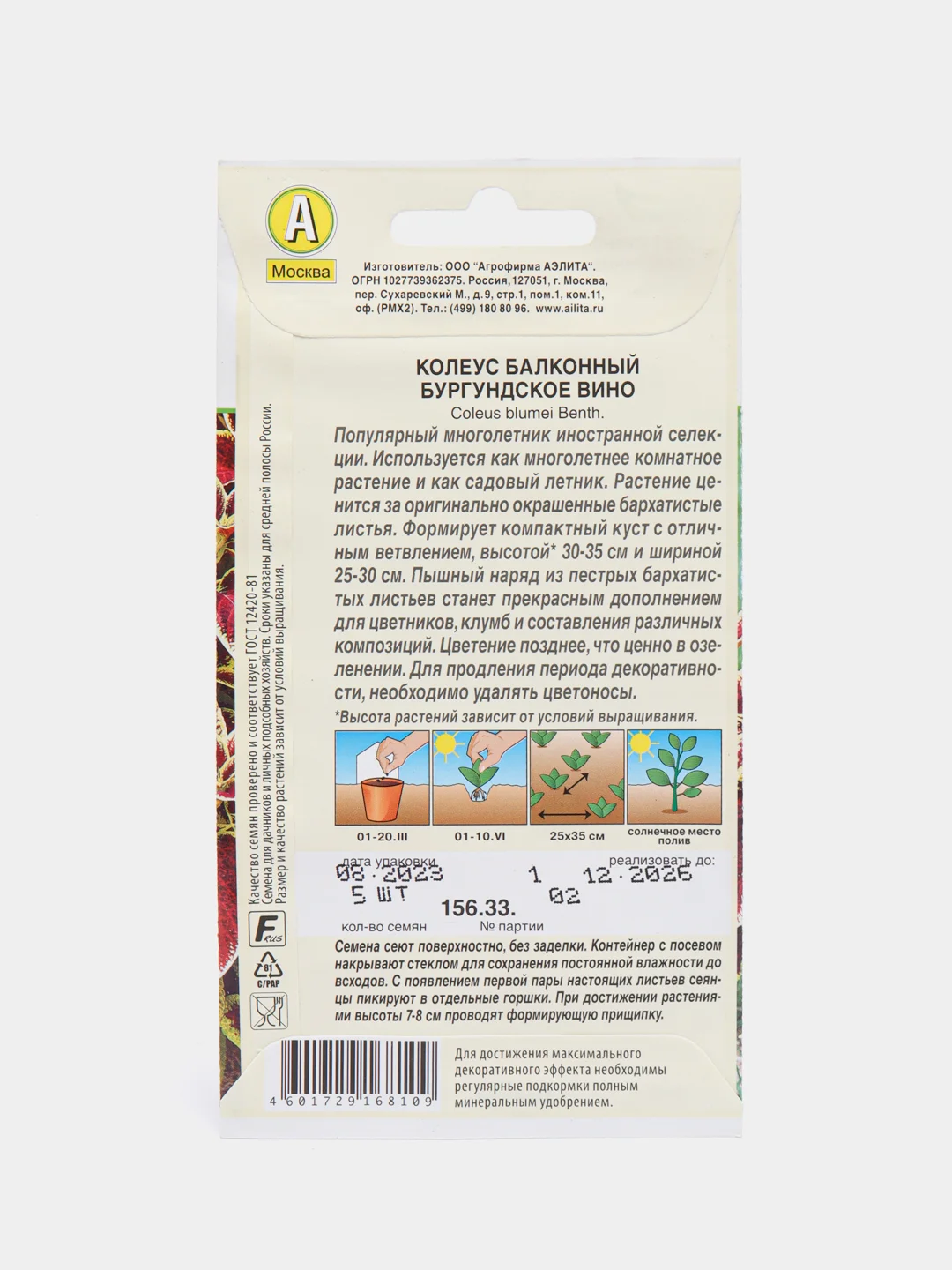 Колеус балконный Бургундское вино (семена,цветы)
