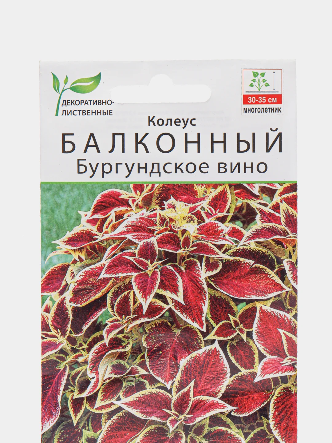 Колеус балконный Бургундское вино (семена,цветы)