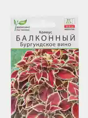Колеус балконный Бургундское вино (семена,цветы)