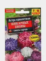 Астра Шикарные пионы, смесь сортов, семена, цветы