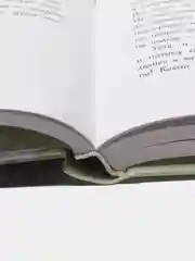 Маленькие женщины замужем, автор Олкотт Луиза Мэй