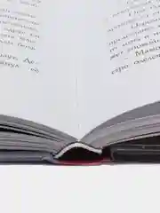 "Приключения Пиноккио", Коллоди Карло