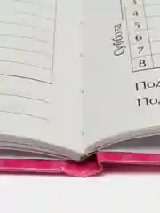 Дневник школьный 1-11 класс Единорог "Минни маус", розовый, твердая обложка, 48 листов