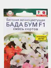 Бегония Бада бум F1, смесь сортов (семена,цветы)
