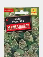 Резеда душистая "Маше миньон" (семена, цветы)