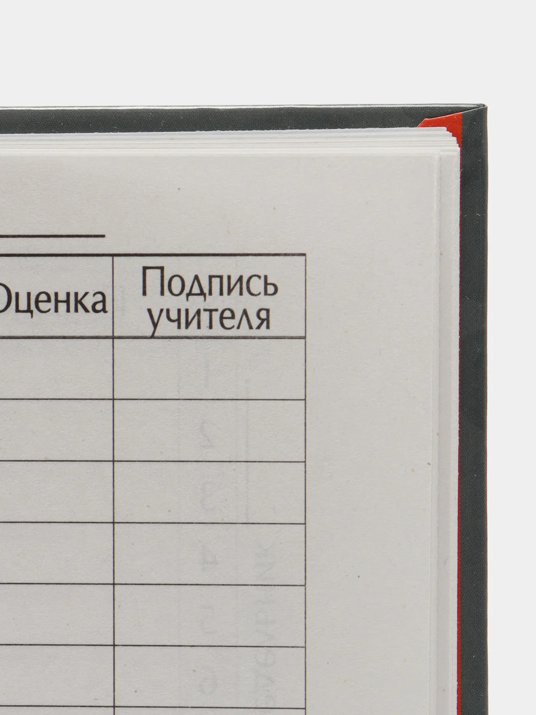 Зеленый школьный дневник, твердая обложка