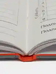 Зеленый школьный дневник, твердая обложка