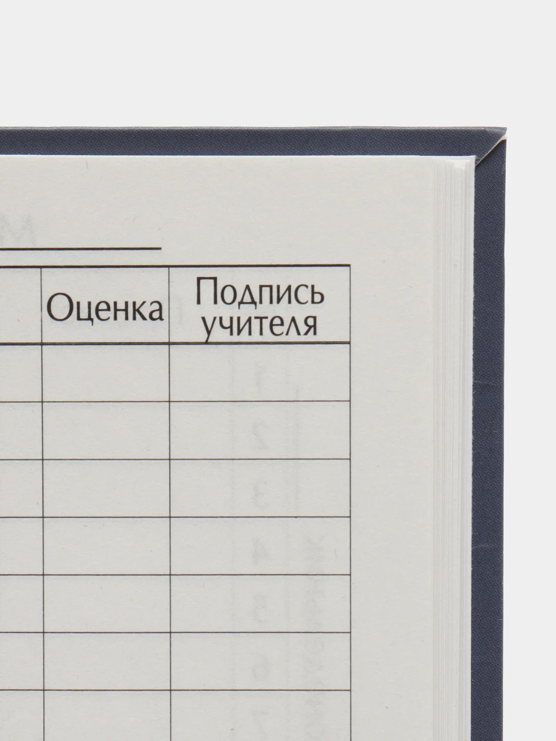 Аметистовый школьный дневник, твердая обложка