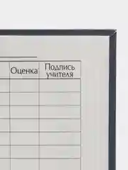 Аметистовый школьный дневник, твердая обложка