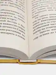 БеспринцЫпный Славик: Как все было на самом деле, Цыпкин А.