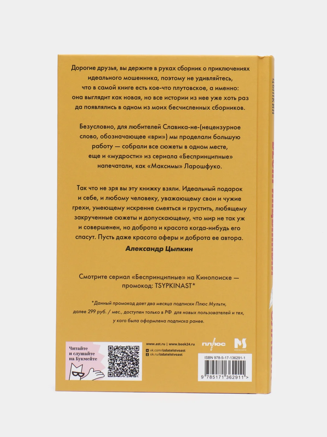 БеспринцЫпный Славик: Как все было на самом деле, Цыпкин А.