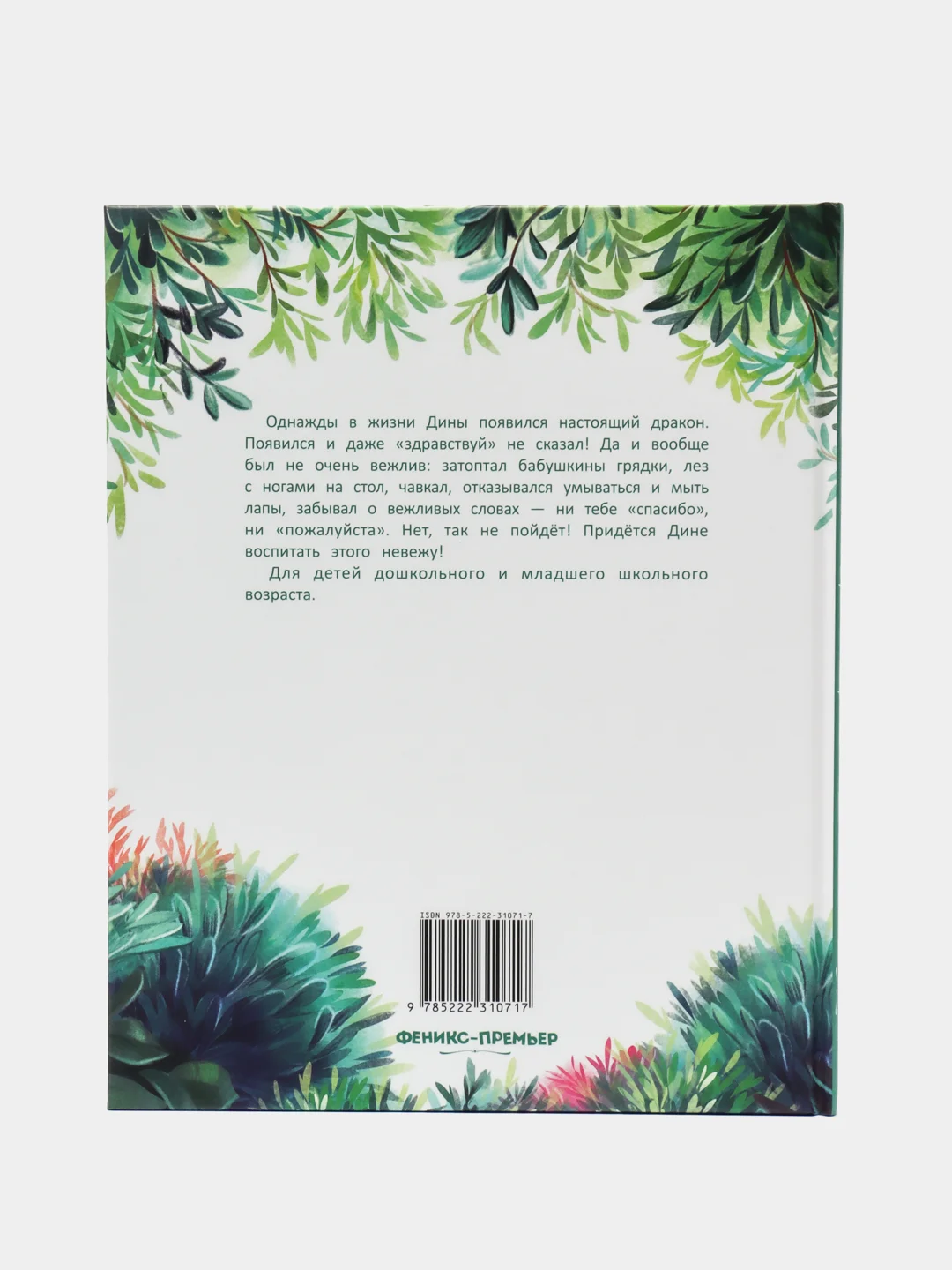 Дина и Дракош: секреты воспитания, Иванова Ю.