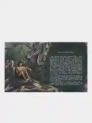 Маугли. Любимая классика