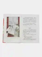 Кирпичные острова. Рассказы про Кешку и его друзей, Погодин Р.П.