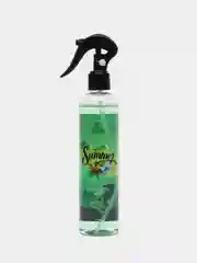 Ароматизатор воздуха "Лето", триггер, 250 мл, Clean&Green