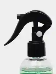 Ароматизатор воздуха "Лето", триггер, 250 мл, Clean&Green