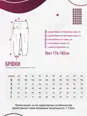 Брюки мужские N.O.A джоггеры, трикотажные большие размеры 48-66