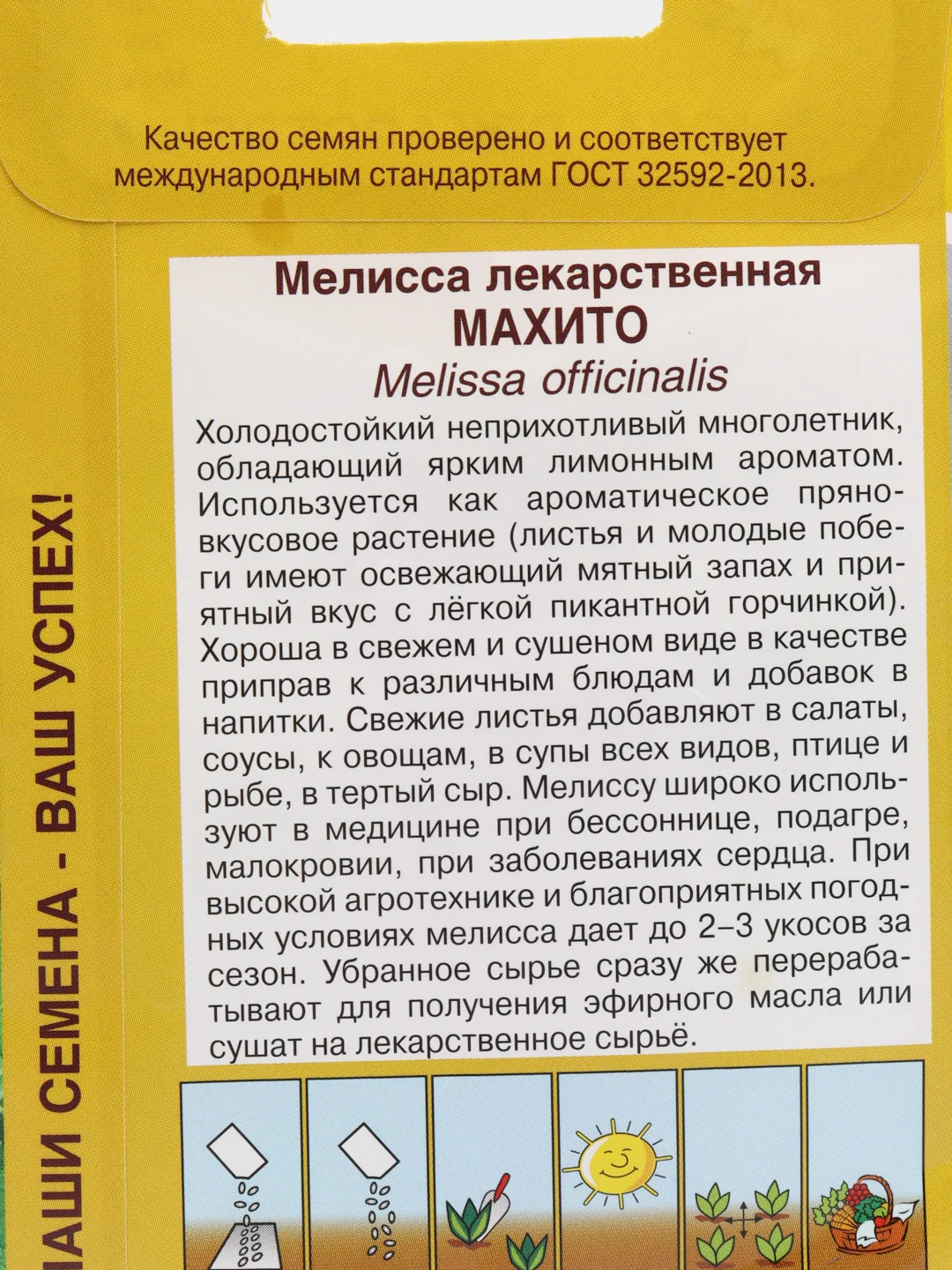 Мелисса лекарственная "Махито", семена цветов