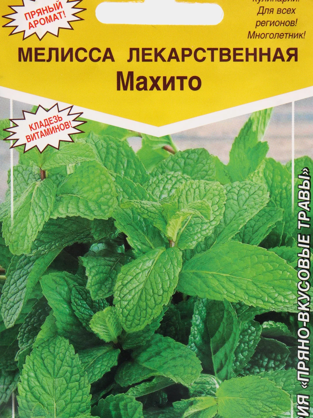 Мелисса лекарственная "Махито", семена цветов