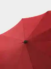Багровый зонт складной, мужской