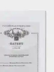 Дыхательная гимнастика Стрельниковой, Щетинин М.