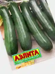 Семена Кабачок "Скворушка" набор 1, 3 уп