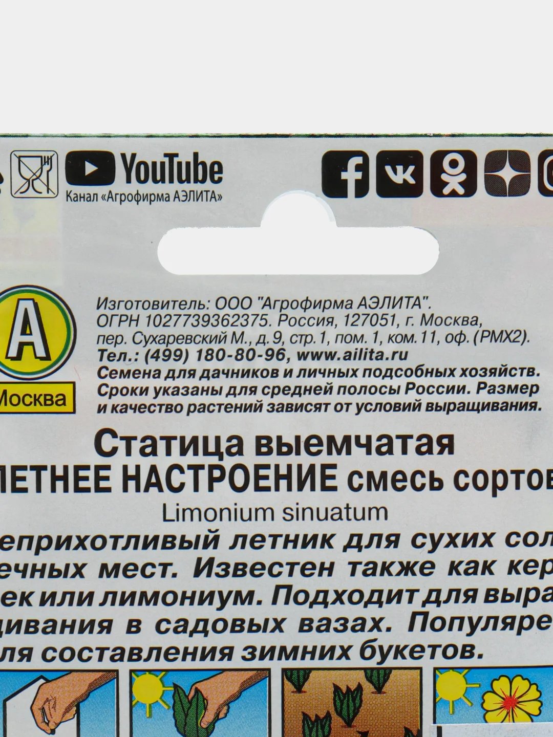 Статица Летнее настроение (семена,цветы)