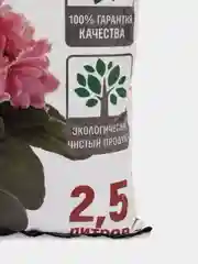 Питательный грунт для СЕНПОЛИЙ 2,5 л Царица цветов