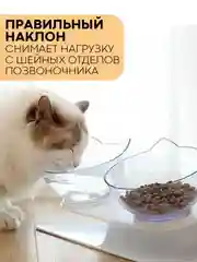 Прозрачный миска для корма кошек и собак КАРТОФАН пластиковая, на подставке с автопоилкой, 4 вида